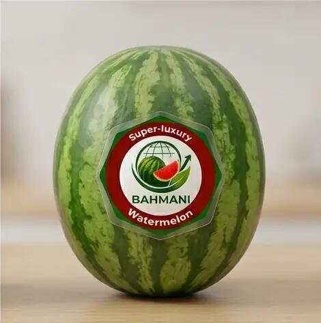 هندوانه باراک گرد