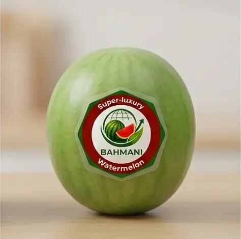 هندوانه تابگون