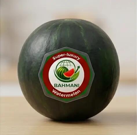 هندوانه یونجین مشکی